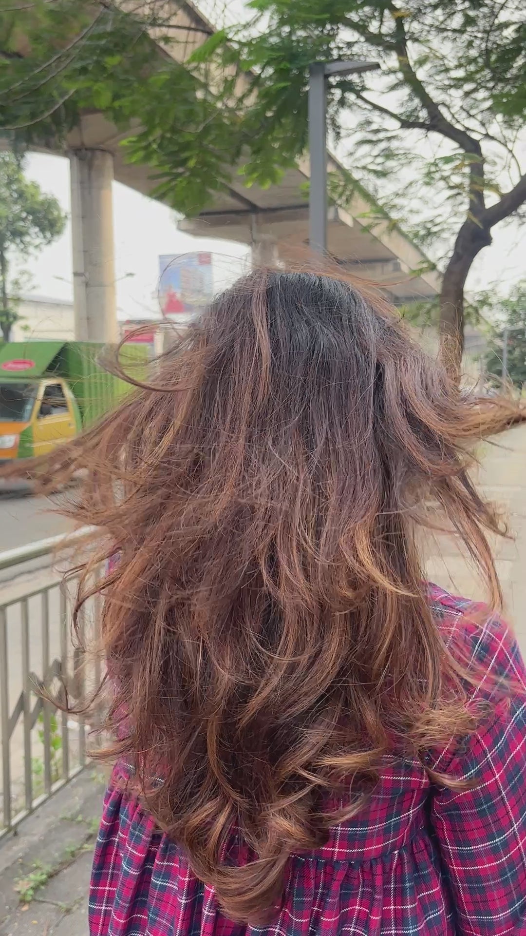 Sugar Plum Dress with  Bishop Sleeve